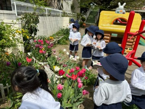 【ぱんだ】園庭探検🌱
