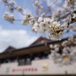 新しい一年がはじまります🌸【佐野市 愛育幼稚園】